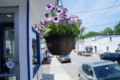 Katonah-in-Bloom13